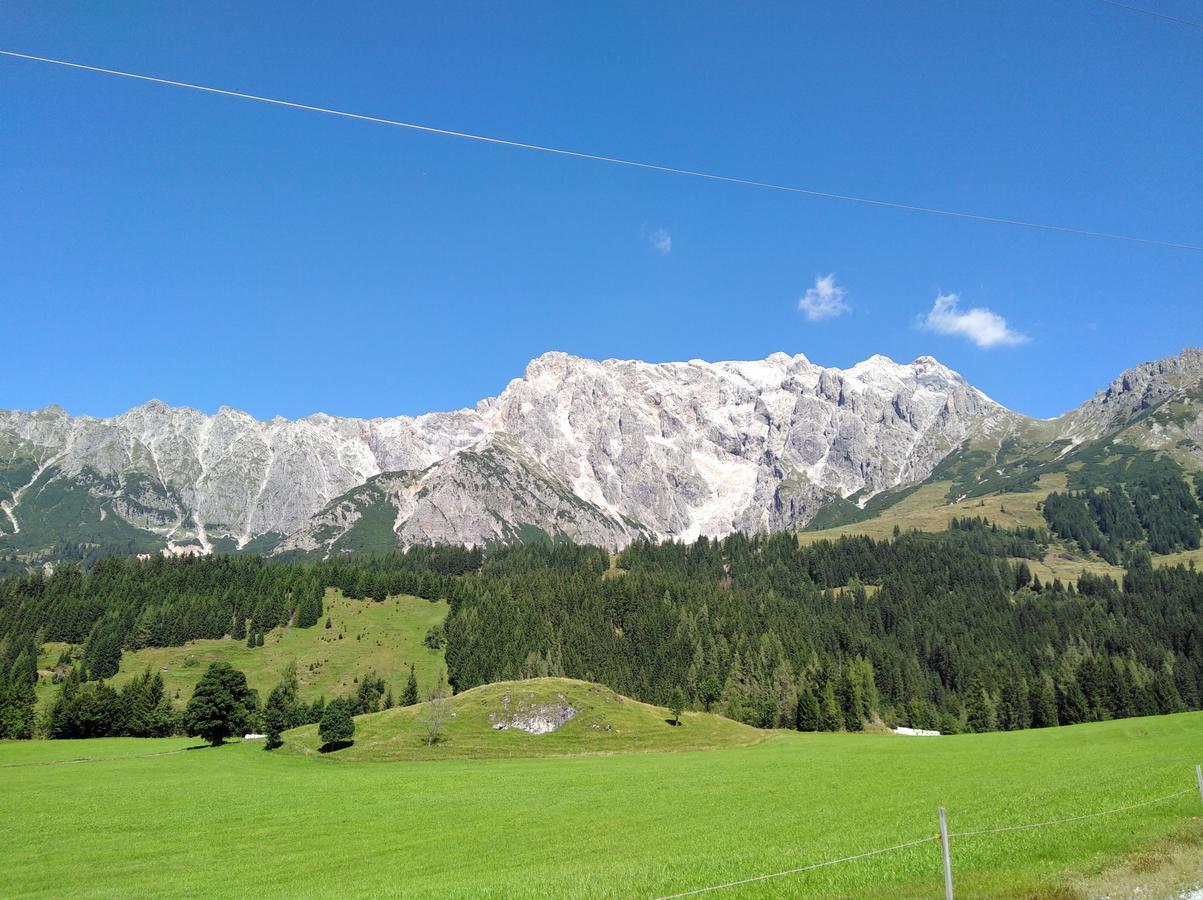 Appartement Rosa St. Johann in Tirol Eksteriør billede